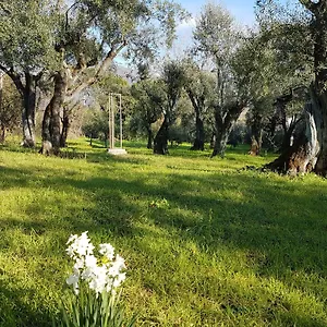 antico-uliveto.it-tuscanyhotel.com/